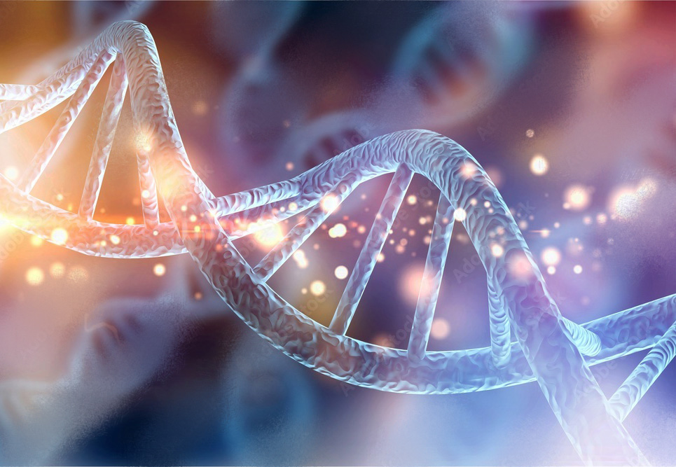 Riprogrammare le cellule